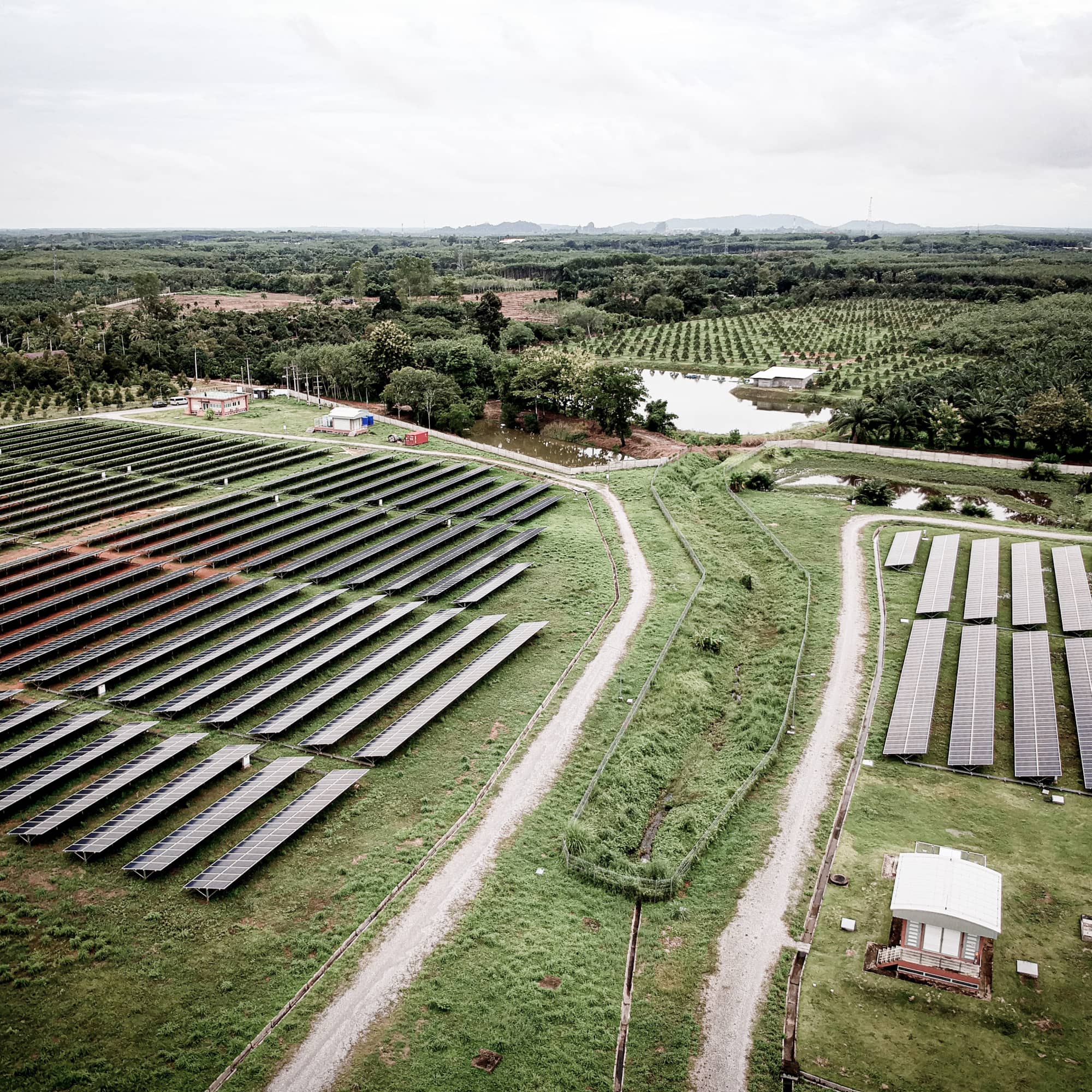 Chanthaburi’s Shrimp Farmer Cooperative 2