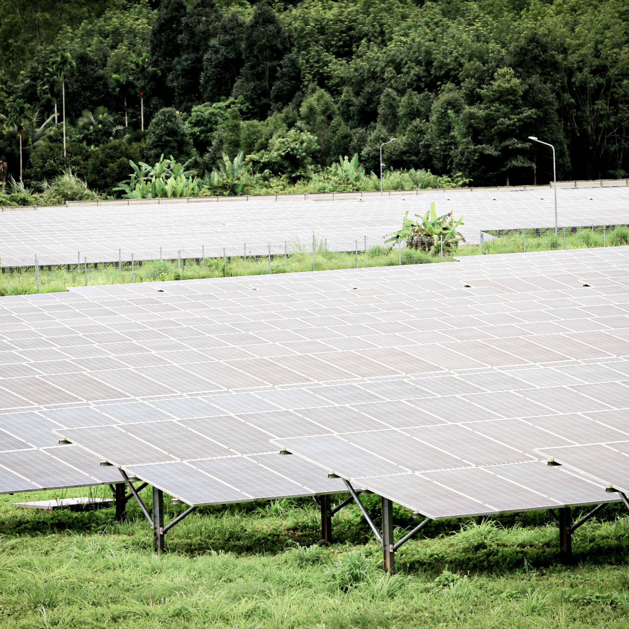 Chanthaburi’s Shrimp Farmer Cooperative 2