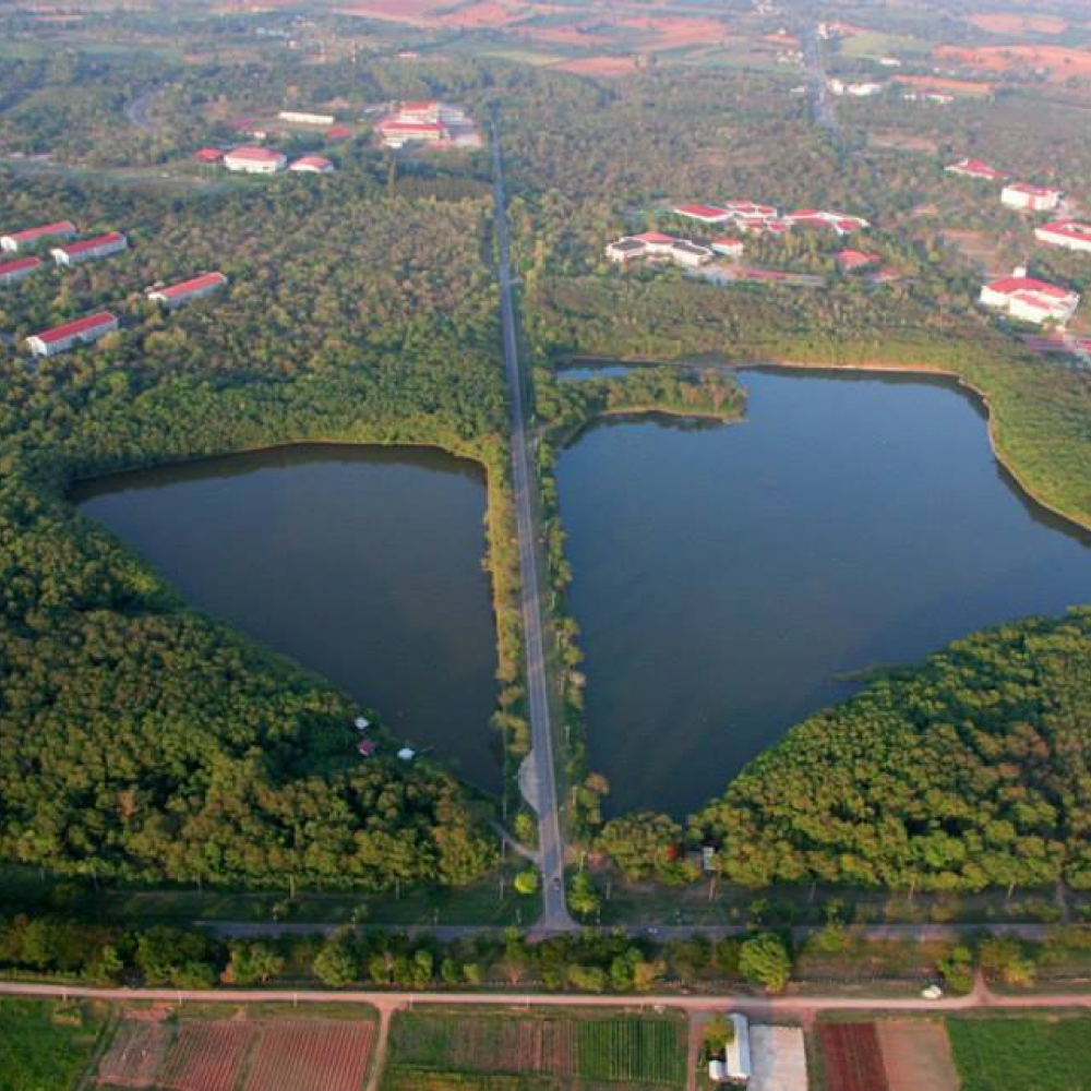 Be a part of buliding a solar farm at Suranaree University